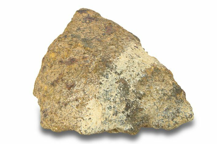 Gold Basin Chondrite Meteorite ( g) - Arizona #282761